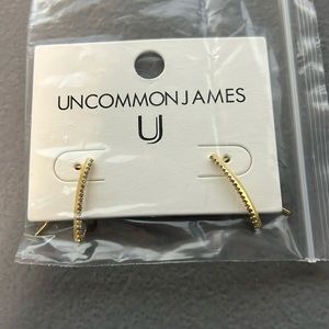 Uncommon James earrings